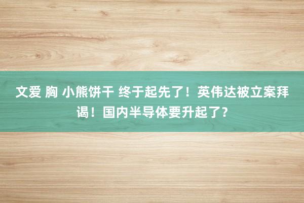 文爱 胸 小熊饼干 终于起先了！英伟达被立案拜谒！国内半导体要升起了？