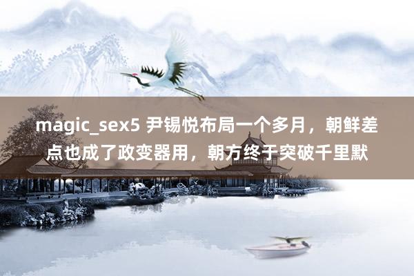 magic_sex5 尹锡悦布局一个多月，朝鲜差点也成了政变器用，朝方终于突破千里默