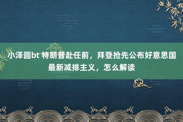 小泽圆bt 特朗普赴任前，拜登抢先公布好意思国最新减排主义，怎么解读