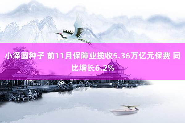 小泽圆种子 前11月保障业揽收5.36万亿元保费 同比增长6.2%