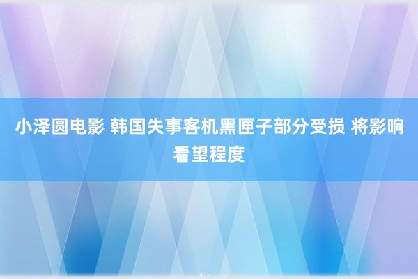 小泽圆电影 韩国失事客机黑匣子部分受损 将影响看望程度