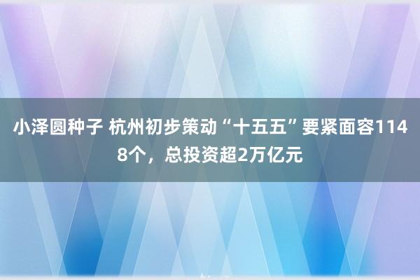 小泽圆种子 杭州初步策动“十五五”要紧面容1148个，总投资超2万亿元