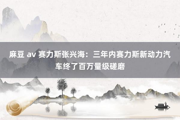 麻豆 av 赛力斯张兴海：三年内赛力斯新动力汽车终了百万量级磋磨