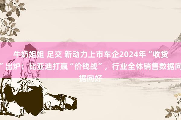 牛奶姐姐 足交 新动力上市车企2024年“收货单”出炉：比亚迪打赢“价钱战”，行业全体销售数据向好