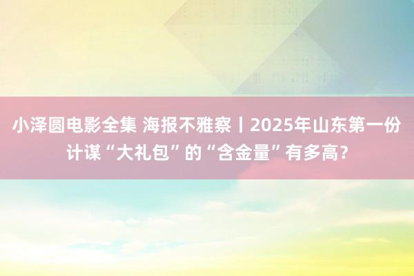 小泽圆电影全集 海报不雅察丨2025年山东第一份计谋“大礼包”的“含金量”有多高？