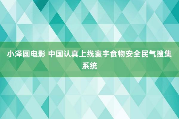 小泽圆电影 中国认真上线寰宇食物安全民气搜集系统