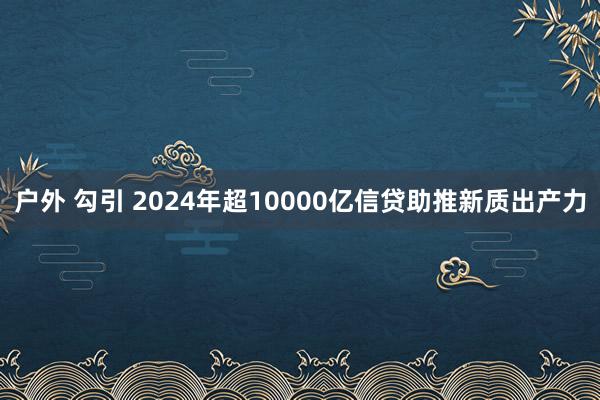 户外 勾引 2024年超10000亿信贷助推新质出产力