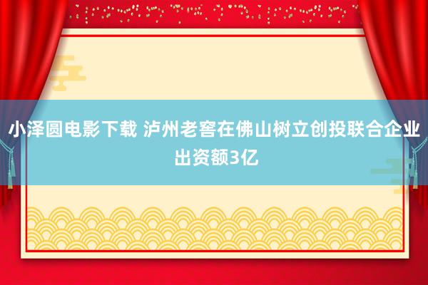 小泽圆电影下载 泸州老窖在佛山树立创投联合企业 出资额3亿