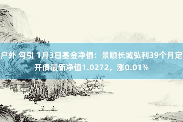 户外 勾引 1月3日基金净值：景顺长城弘利39个月定开债最新净值1.0272，涨0.01%