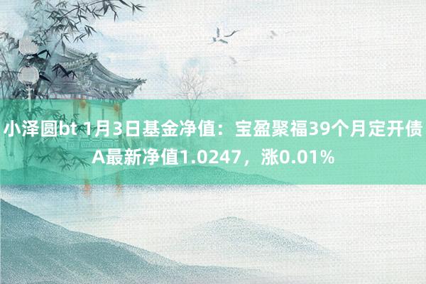 小泽圆bt 1月3日基金净值：宝盈聚福39个月定开债A最新净值1.0247，涨0.01%