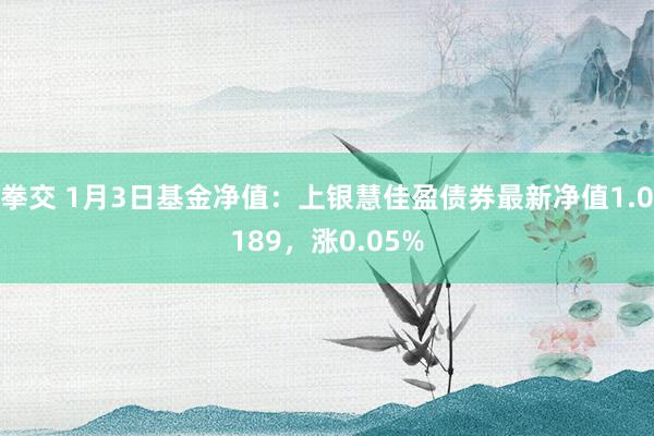 拳交 1月3日基金净值：上银慧佳盈债券最新净值1.0189，涨0.05%