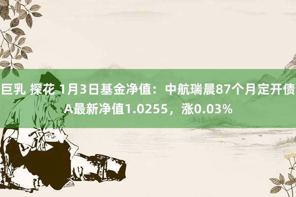 巨乳 探花 1月3日基金净值：中航瑞晨87个月定开债A最新净值1.0255，涨0.03%