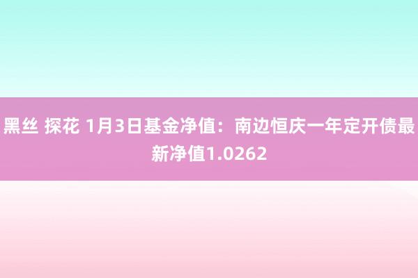 黑丝 探花 1月3日基金净值：南边恒庆一年定开债最新净值1.0262