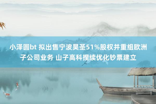 小泽圆bt 拟出售宁波昊圣51%股权并重组欧洲子公司业务 山子高科捏续优化钞票建立