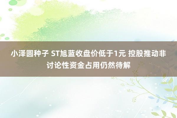 小泽圆种子 ST旭蓝收盘价低于1元 控股推动非讨论性资金占用仍然待解