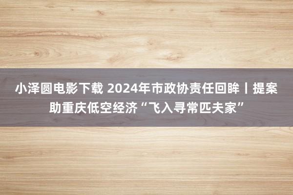 小泽圆电影下载 2024年市政协责任回眸丨提案助重庆低空经济“飞入寻常匹夫家”