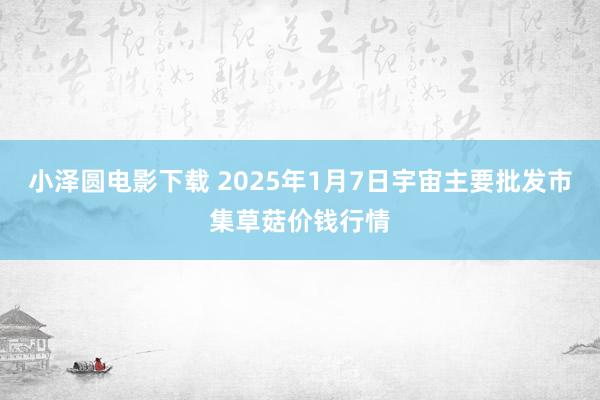 小泽圆电影下载 2025年1月7日宇宙主要批发市集草菇价钱行情