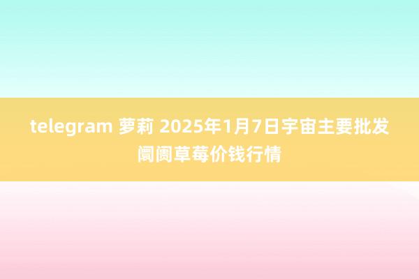 telegram 萝莉 2025年1月7日宇宙主要批发阛阓草莓价钱行情