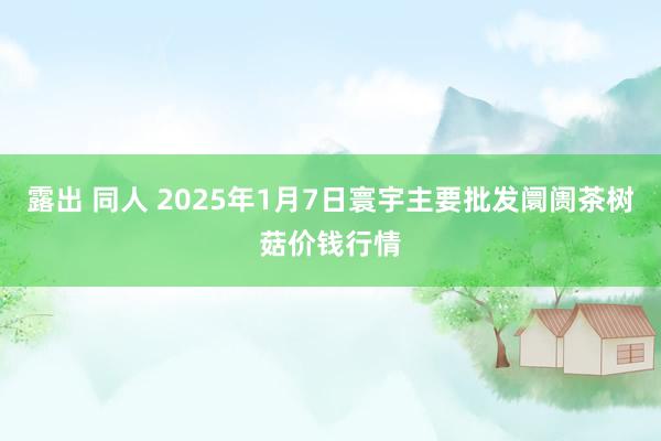 露出 同人 2025年1月7日寰宇主要批发阛阓茶树菇价钱行情