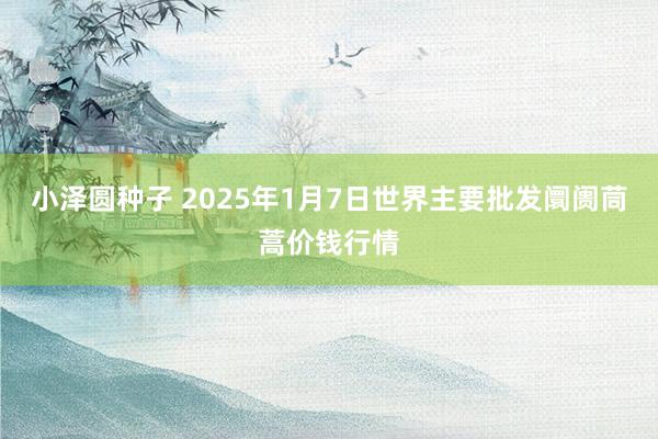 小泽圆种子 2025年1月7日世界主要批发阛阓茼蒿价钱行情