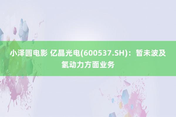 小泽圆电影 亿晶光电(600537.SH)：暂未波及氢动力方面业务