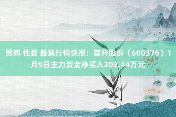 男同 性愛 股票行情快报：首开股份（600376）1月9日主力资金净买入203.44万元