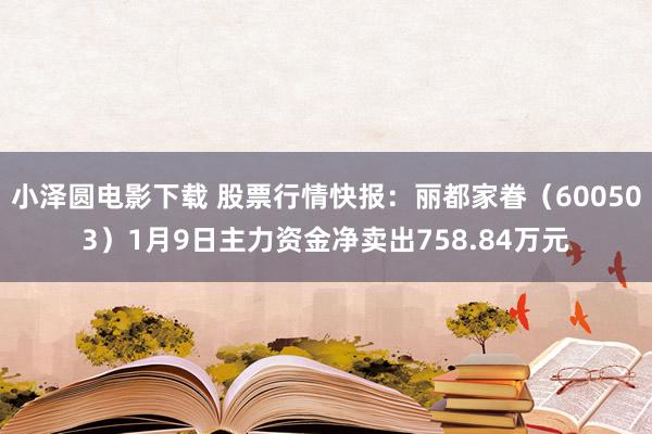 小泽圆电影下载 股票行情快报：丽都家眷（600503）1月9日主力资金净卖出758.84万元