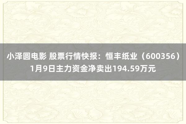 小泽圆电影 股票行情快报：恒丰纸业（600356）1月9日主力资金净卖出194.59万元