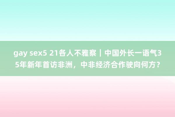 gay sex5 21各人不雅察｜中国外长一语气35年新年首访非洲，中非经济合作驶向何方？