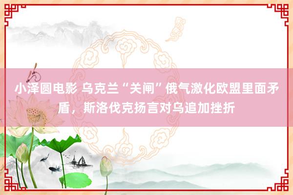 小泽圆电影 乌克兰“关闸”俄气激化欧盟里面矛盾，斯洛伐克扬言对乌追加挫折