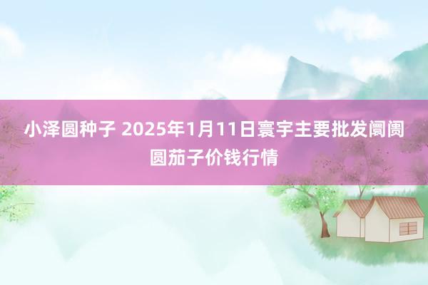 小泽圆种子 2025年1月11日寰宇主要批发阛阓圆茄子价钱行情