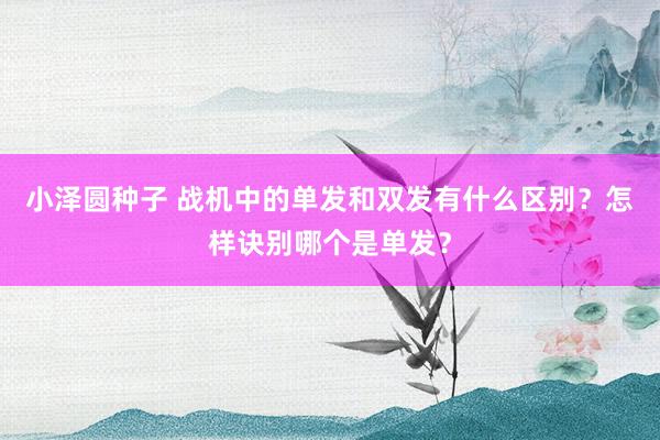 小泽圆种子 战机中的单发和双发有什么区别？怎样诀别哪个是单发？