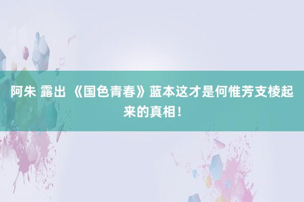 阿朱 露出 《国色青春》蓝本这才是何惟芳支棱起来的真相！