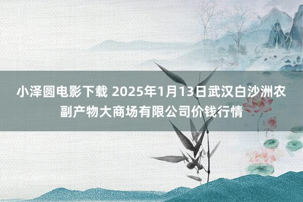 小泽圆电影下载 2025年1月13日武汉白沙洲农副产物大商场有限公司价钱行情