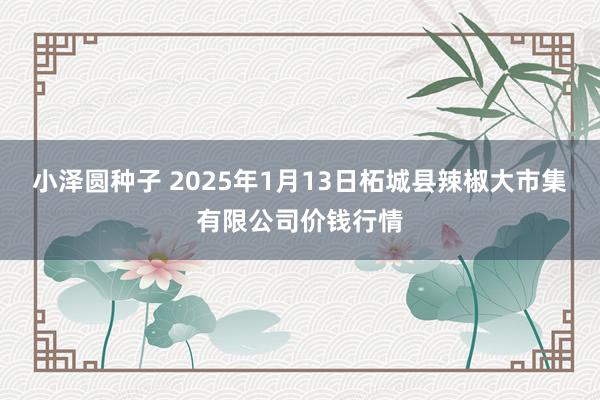 小泽圆种子 2025年1月13日柘城县辣椒大市集有限公司价钱行情