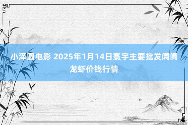 小泽圆电影 2025年1月14日寰宇主要批发阛阓龙虾价钱行情