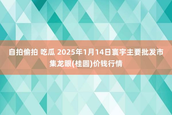 自拍偷拍 吃瓜 2025年1月14日寰宇主要批发市集龙眼(桂圆)价钱行情