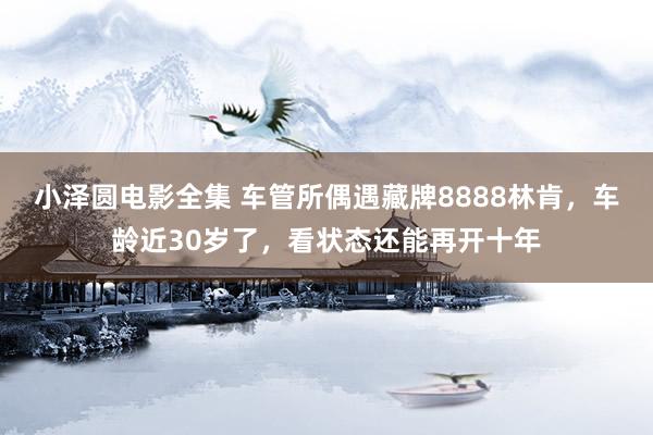 小泽圆电影全集 车管所偶遇藏牌8888林肯，车龄近30岁了，看状态还能再开十年