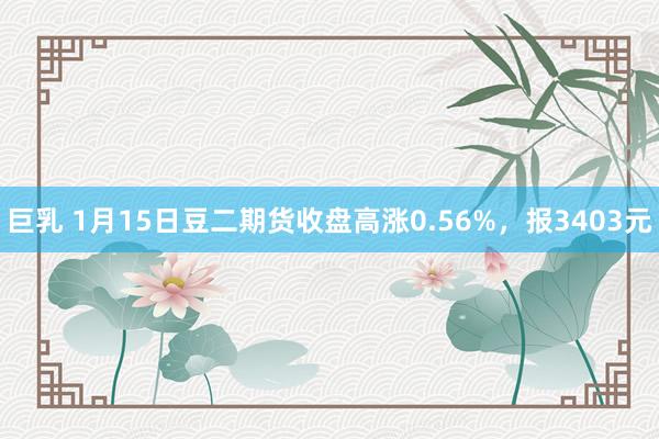 巨乳 1月15日豆二期货收盘高涨0.56%，报3403元