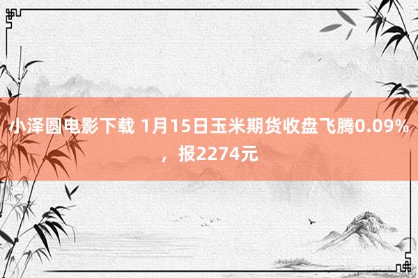 小泽圆电影下载 1月15日玉米期货收盘飞腾0.09%，报2274元