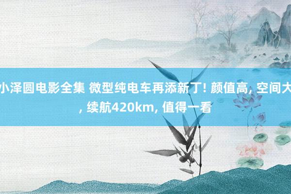 小泽圆电影全集 微型纯电车再添新丁! 颜值高， 空间大， 续航420km， 值得一看