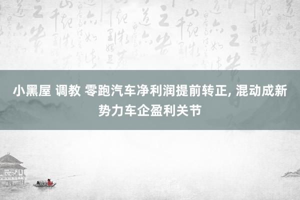 小黑屋 调教 零跑汽车净利润提前转正， 混动成新势力车企盈利关节