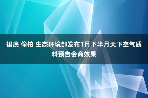 裙底 偷拍 生态环境部发布1月下半月天下空气质料预告会商效果