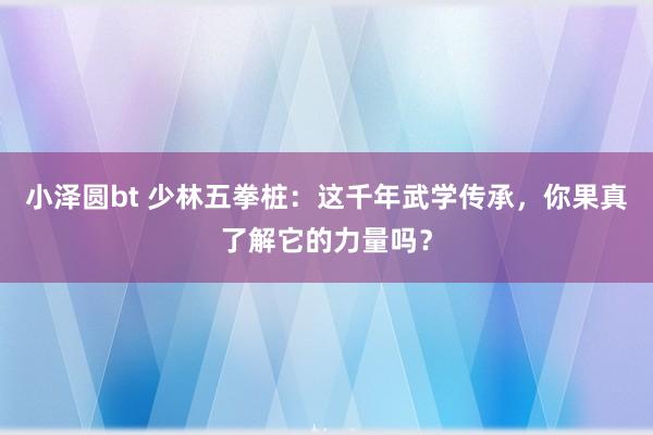 小泽圆bt 少林五拳桩：这千年武学传承，你果真了解它的力量吗？