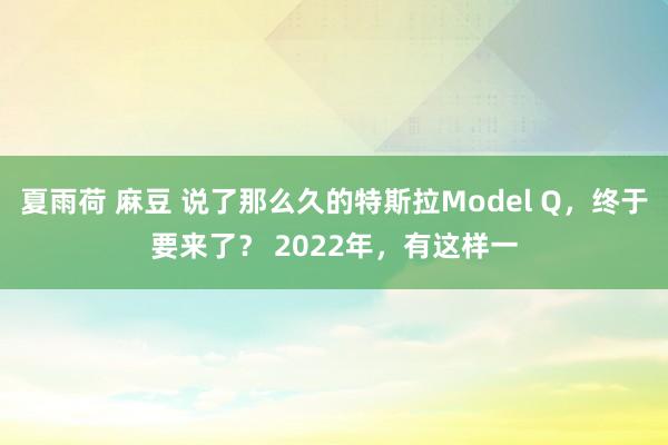 夏雨荷 麻豆 说了那么久的特斯拉Model Q，终于要来了？ 2022年，有这样一