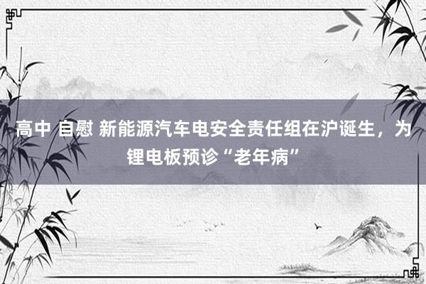 高中 自慰 新能源汽车电安全责任组在沪诞生，为锂电板预诊“老年病”