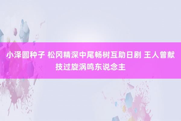 小泽圆种子 松冈精深中尾畅树互助日剧 王人曾献技过旋涡鸣东说念主